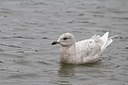 BUITEN BEELD Foto: 152220