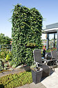BUITEN BEELD Foto: 152264