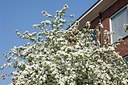 BUITEN BEELD Foto: 152485