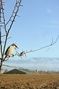 BUITEN BEELD Foto: 152518