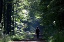 BUITEN BEELD Foto: 152587