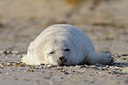 BUITEN BEELD Foto: 152829