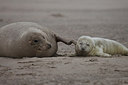 BUITEN BEELD Foto: 152853