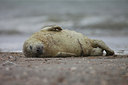 BUITEN BEELD Foto: 152868