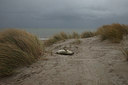 BUITEN BEELD Foto: 152870