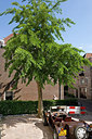 BUITEN BEELD Foto: 152913