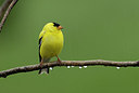 BUITEN BEELD Foto: 152960