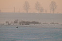 BUITEN BEELD Foto: 153009