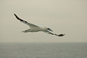 BUITEN BEELD Foto: 153029