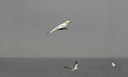 BUITEN BEELD Foto: 153030