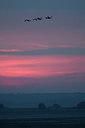 BUITEN BEELD Foto: 153042