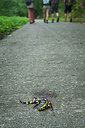 BUITEN BEELD Foto: 153160