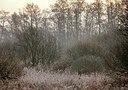 BUITEN BEELD Foto: 153208
