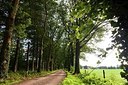 BUITEN BEELD Foto: 153213