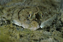 BUITEN BEELD Foto: 153267
