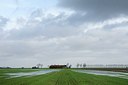 BUITEN BEELD Foto: 153296