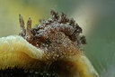 BUITEN BEELD Foto: 153388