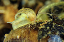 BUITEN BEELD Foto: 153446