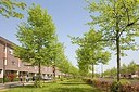BUITEN BEELD Foto: 153497