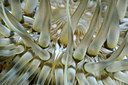 BUITEN BEELD Foto: 153502