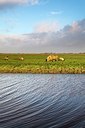 BUITEN BEELD Foto: 153706