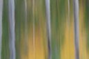 BUITEN BEELD Foto: 153898
