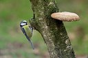 BUITEN BEELD Foto: 153973