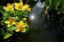 BUITEN BEELD Foto: 154000