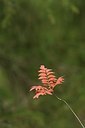 BUITEN BEELD Foto: 154016