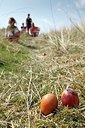 BUITEN BEELD Foto: 154112