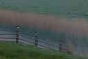 BUITEN BEELD Foto: 154134