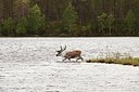 BUITEN BEELD Foto: 154194