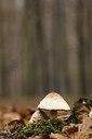 BUITEN BEELD Foto: 154383
