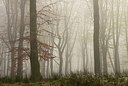 BUITEN BEELD Foto: 154398