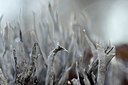 BUITEN BEELD Foto: 154408