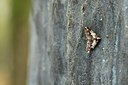 BUITEN BEELD Foto: 154557