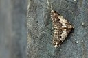 BUITEN BEELD Foto: 154558