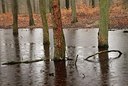 BUITEN BEELD Foto: 154564