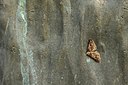 BUITEN BEELD Foto: 154569