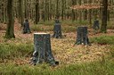 BUITEN BEELD Foto: 154571
