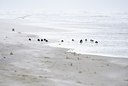 BUITEN BEELD Foto: 154610