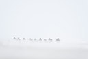 BUITEN BEELD Foto: 154612