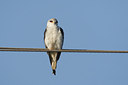 BUITEN BEELD Foto: 154693