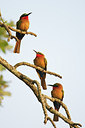BUITEN BEELD Foto: 154717