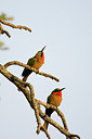 BUITEN BEELD Foto: 154718