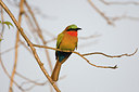 BUITEN BEELD Foto: 154719