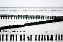 BUITEN BEELD Foto: 154767