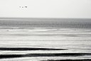BUITEN BEELD Foto: 154772