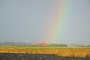 BUITEN BEELD Foto: 154779