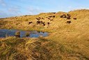BUITEN BEELD Foto: 154874